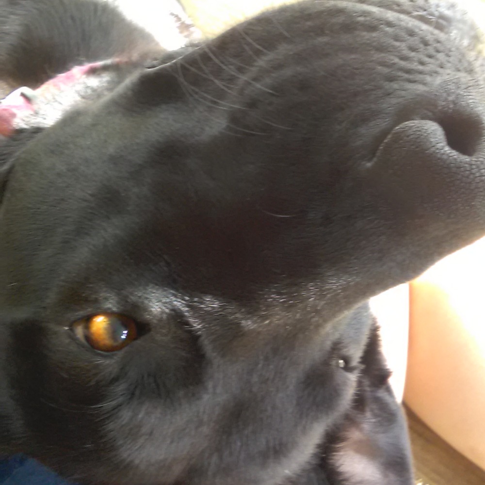 Meet your Posher, Ayla